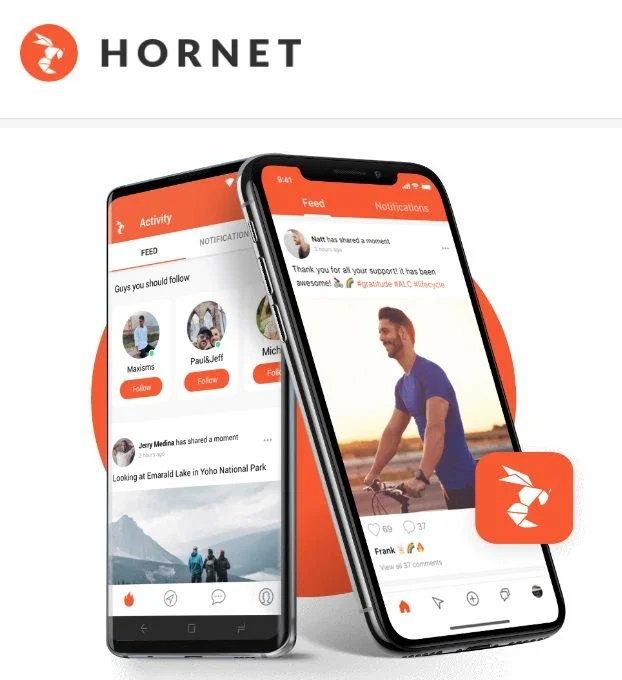 hornet