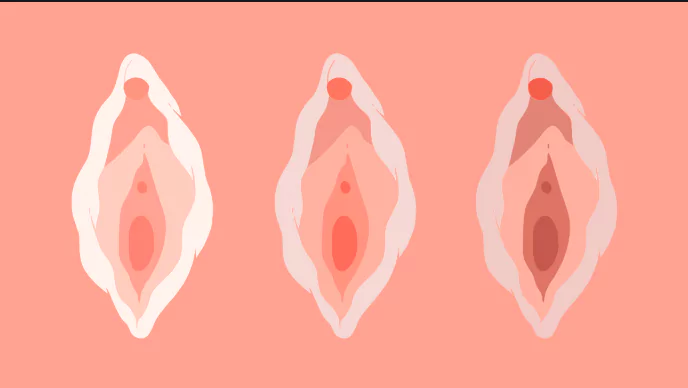 What types of vagina do men like the most?